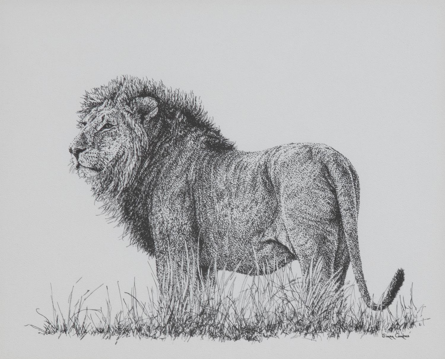 Africa's Big Six