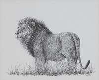 Africa's Big Six