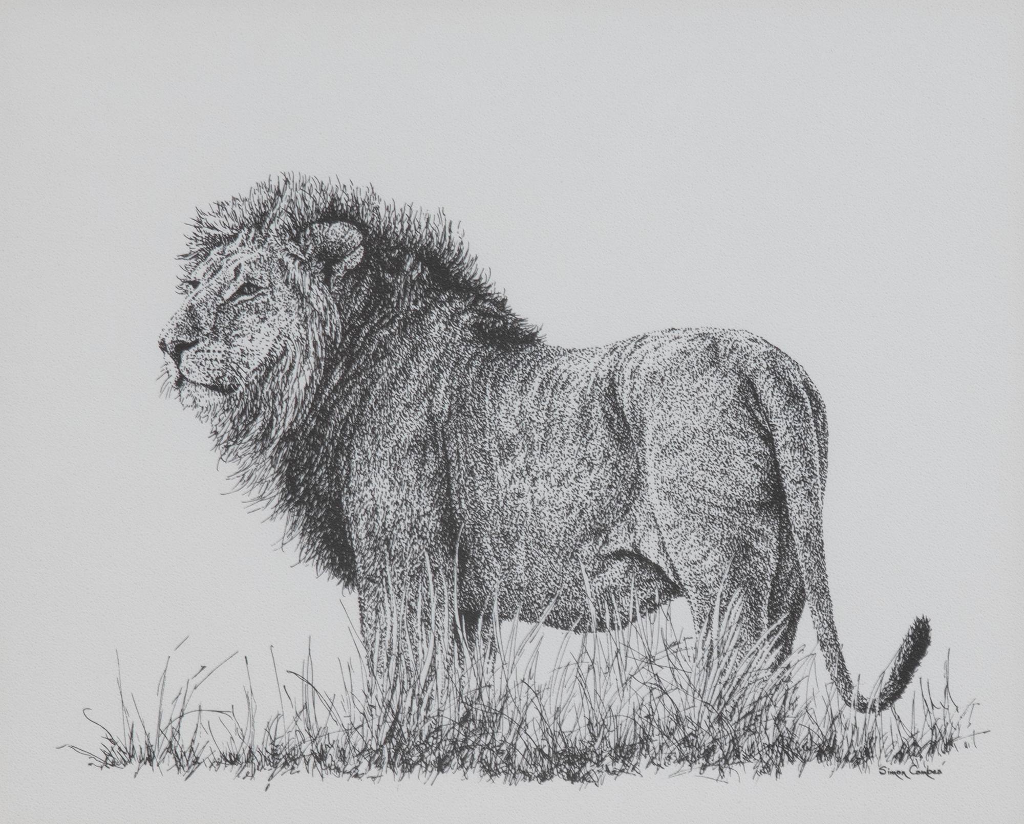 Africa's Big Six