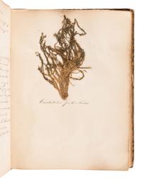 [SPECIMEN ALBUM - BRITISH MOSSES]. [PARNELL, William (1833-1906)]. "Preserved Specimens of British Mosses." [Dublin, ca 1850].