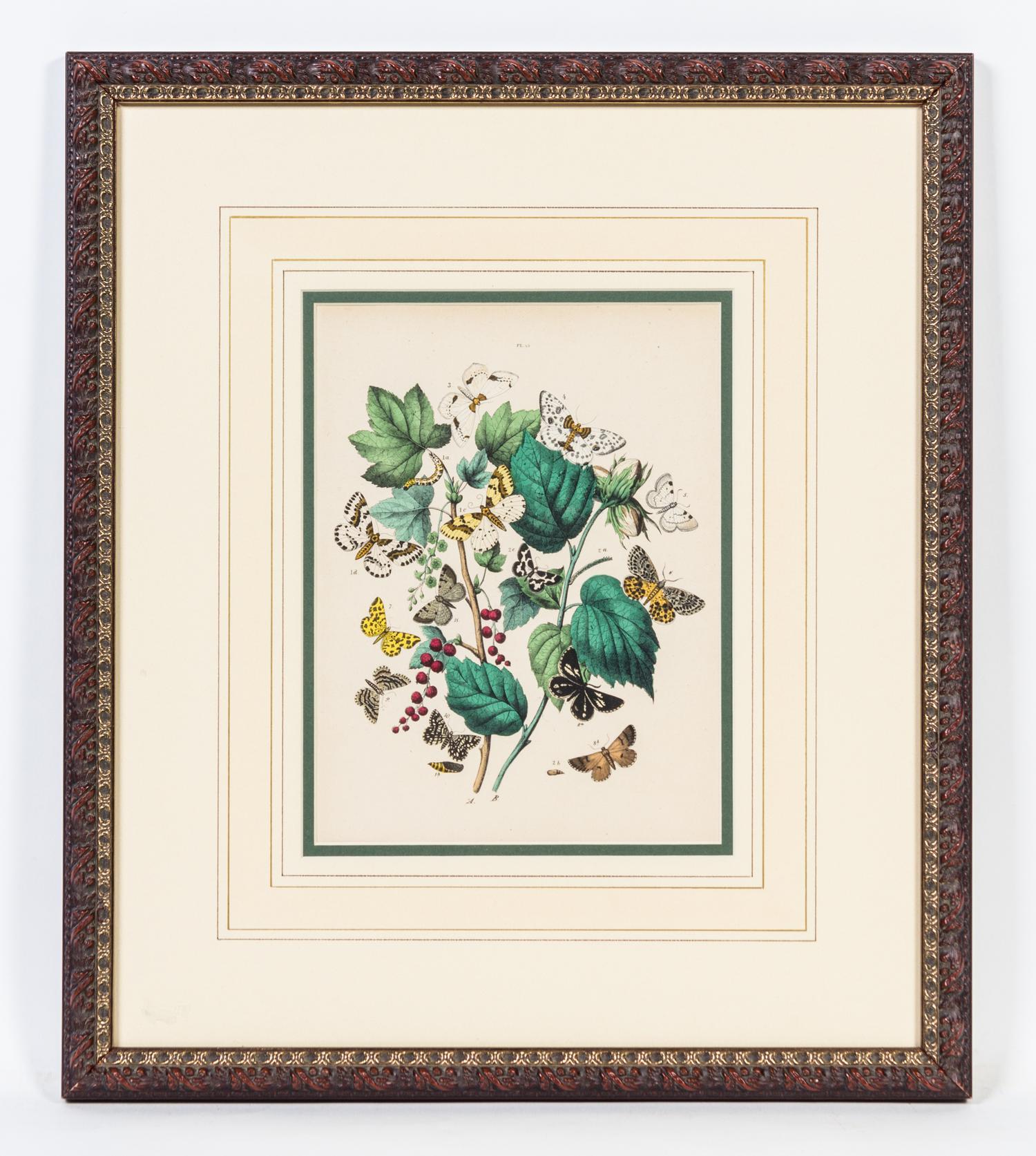 A Set of Four Handcolored Engravings Height of each 20 x width 17 inches.