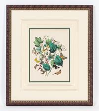 A Set of Four Handcolored Engravings Height of each 20 x width 17 inches.