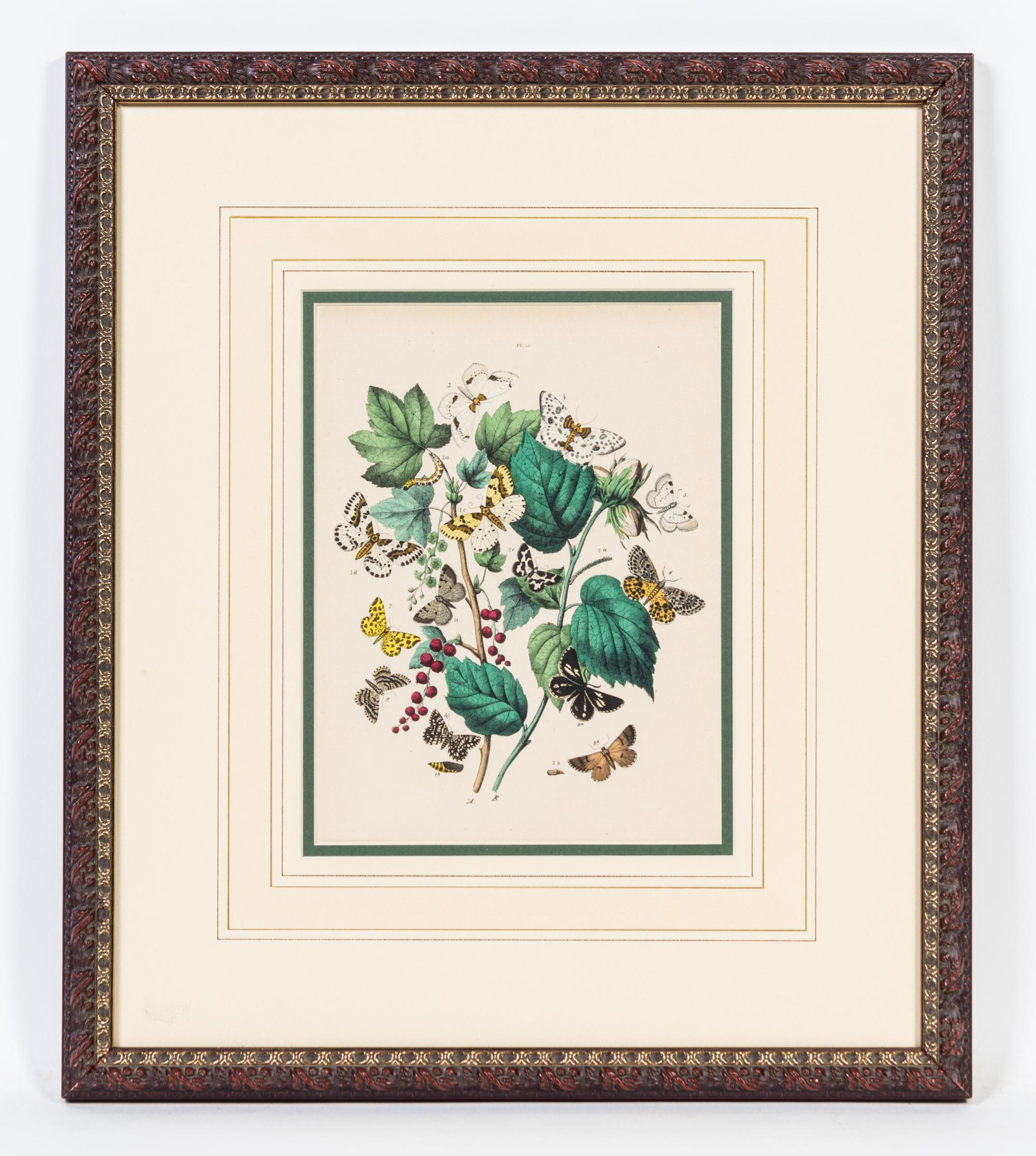 A Set of Four Handcolored Engravings Height of each 20 x width 17 inches.