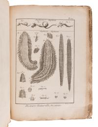 BRUGUIÈRE, Jean Guillaume (1749-1798). Tableau encyclopédique et méthodique des trois règnes de la nature. Contenant l'helminthologie, ou les vers infusoires, les vers intestins, les vers mollusques, &c . Paris: Panckoucke, 1791.