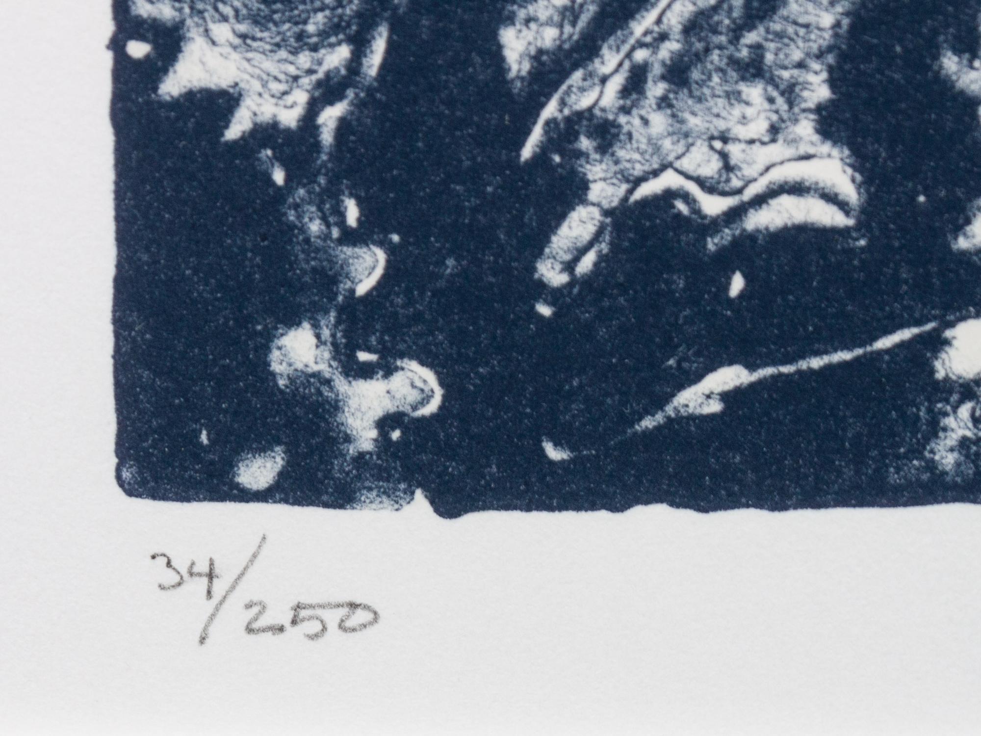 Untitled (from Harvey Gantt Portfolio )
