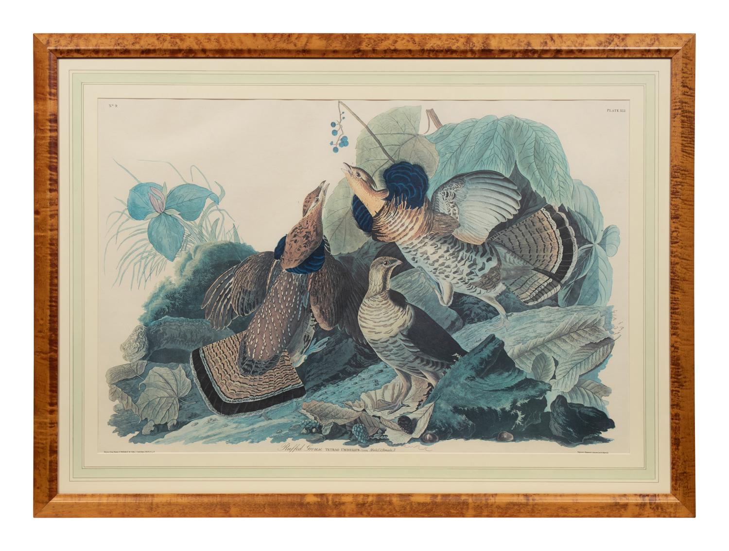 After John James Audubon (American, 1785-1851)