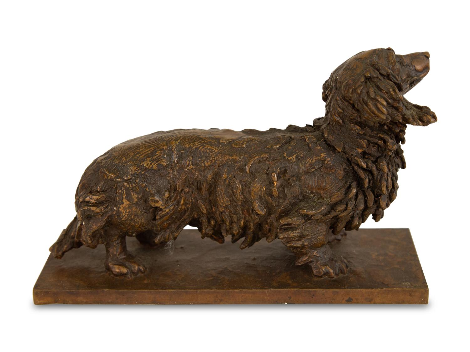 Dachshund