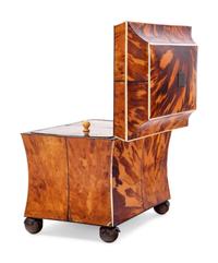 A Regency Tortoiseshell Tea Caddy