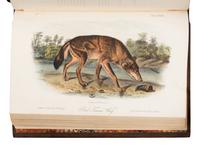 Audubon, John James (1785-1851) and John Bachman (1790-1874). The Quadrupeds of North America . New York: V.G. Audubon, 1849, 1854, 1854.