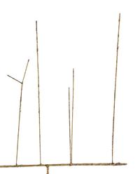 Untitled, c. 1950s