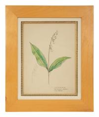 Eighteen Botanical Watercolors