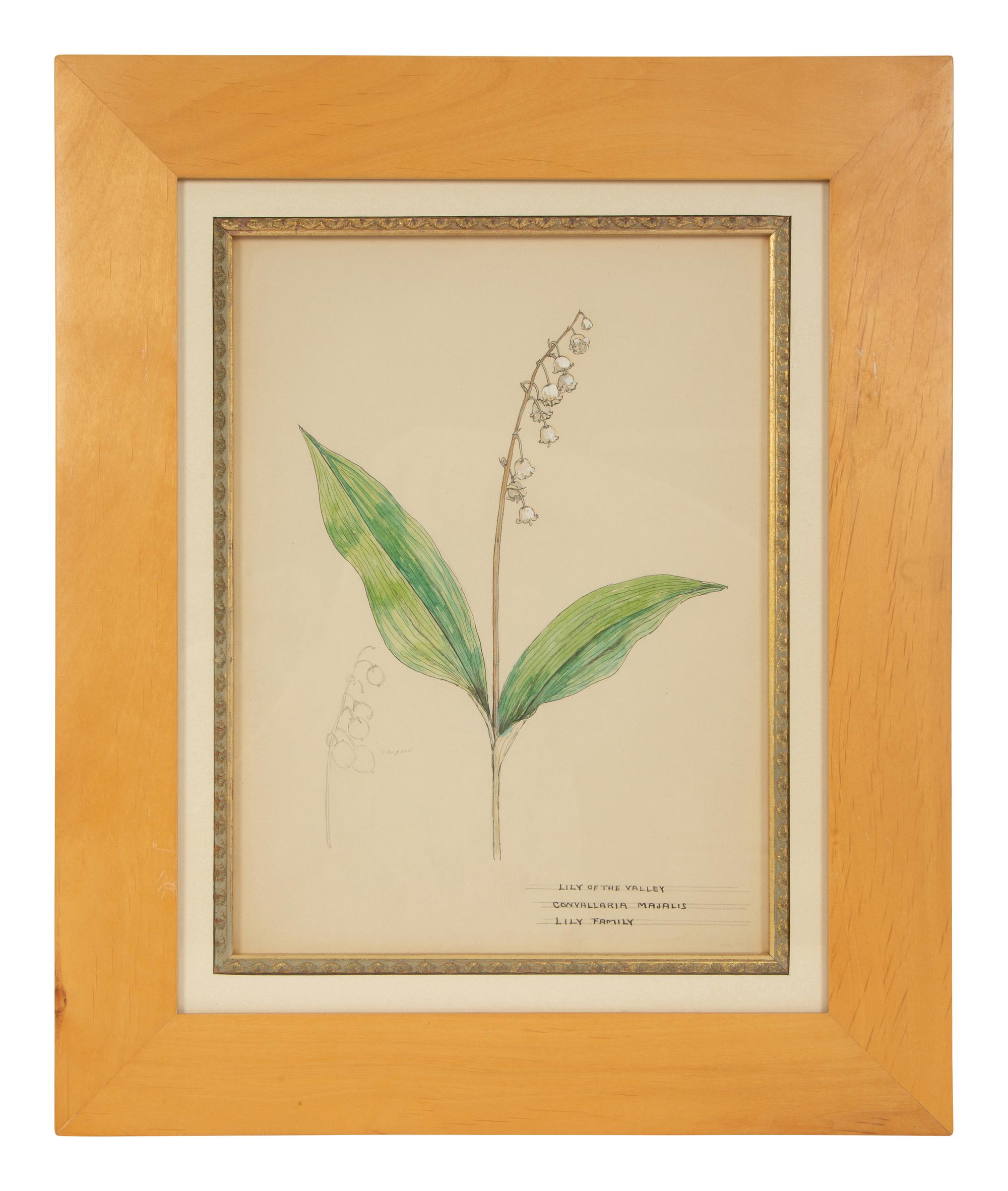 Eighteen Botanical Watercolors