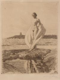 The Swan