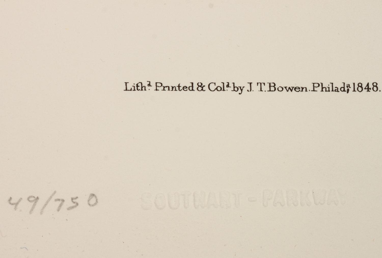 Southart Parkway's Limited Edition Facsimiles from Viviparous Quadrupeds of North America; Set Two: Audubon Mammals of the Southeast