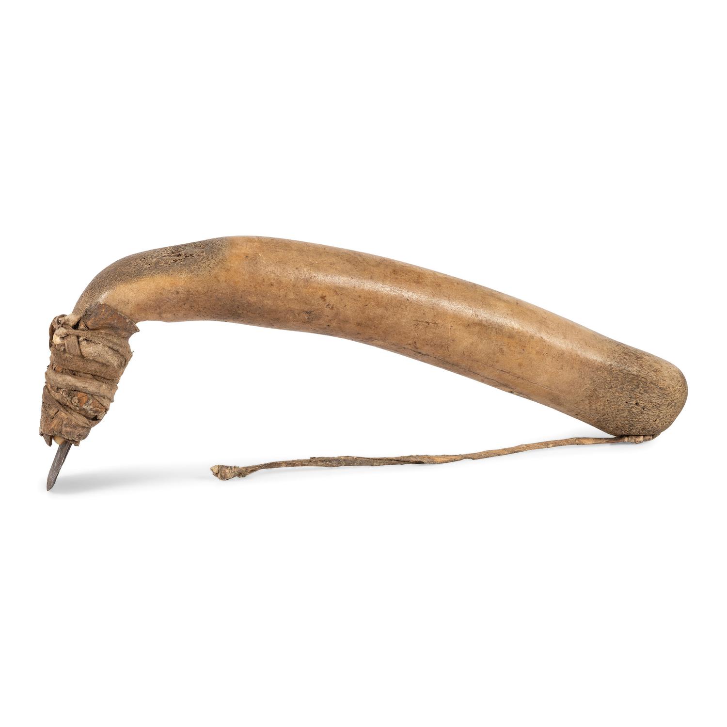Plains Elk Antler Hide Scraper