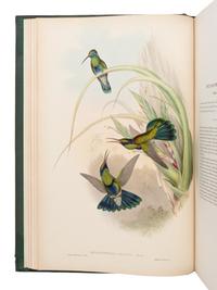 [NATURAL HISTORY]. GOULD, John (1804-1881). A Monograph of the Trochilidae, or Family of Humming-Birds . London: Taylor and Francis for the Author, [1849-] 1861.