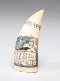 A Scrimshaw Sperm Whale's Tooth