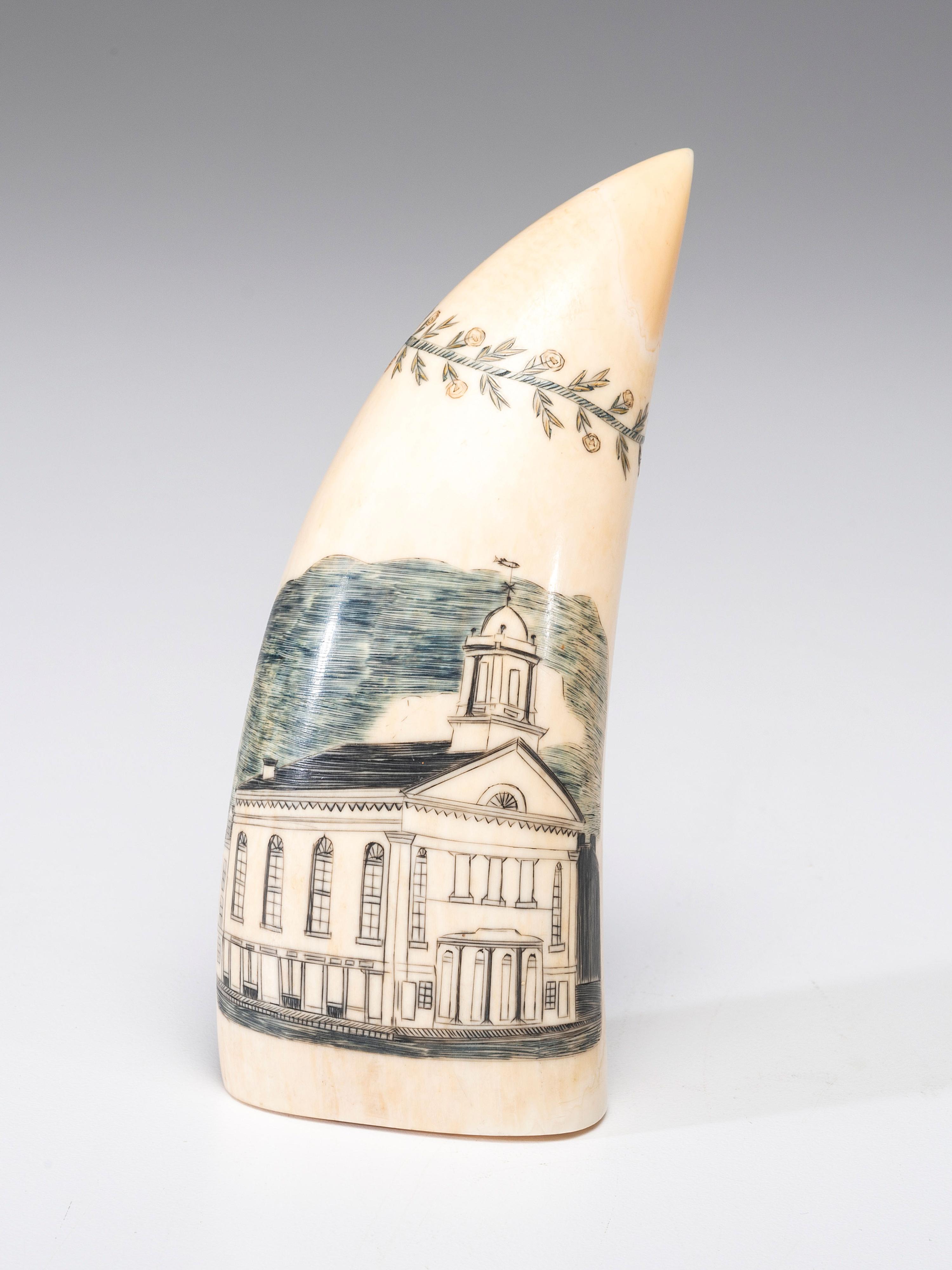 A Scrimshaw Sperm Whale's Tooth