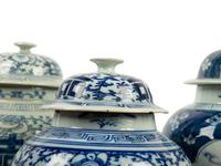A Collection of Chinese Blue and White Porcelain Ginger Jars and Vases — 19TH/20TH CENTURY