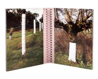 (CORACLE PRESS) A collection of 23 works, includes works by Richard Long, Simon Cutts, Erica Van Horn, Hamish Fulton, and others.