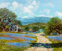 Long Country Road