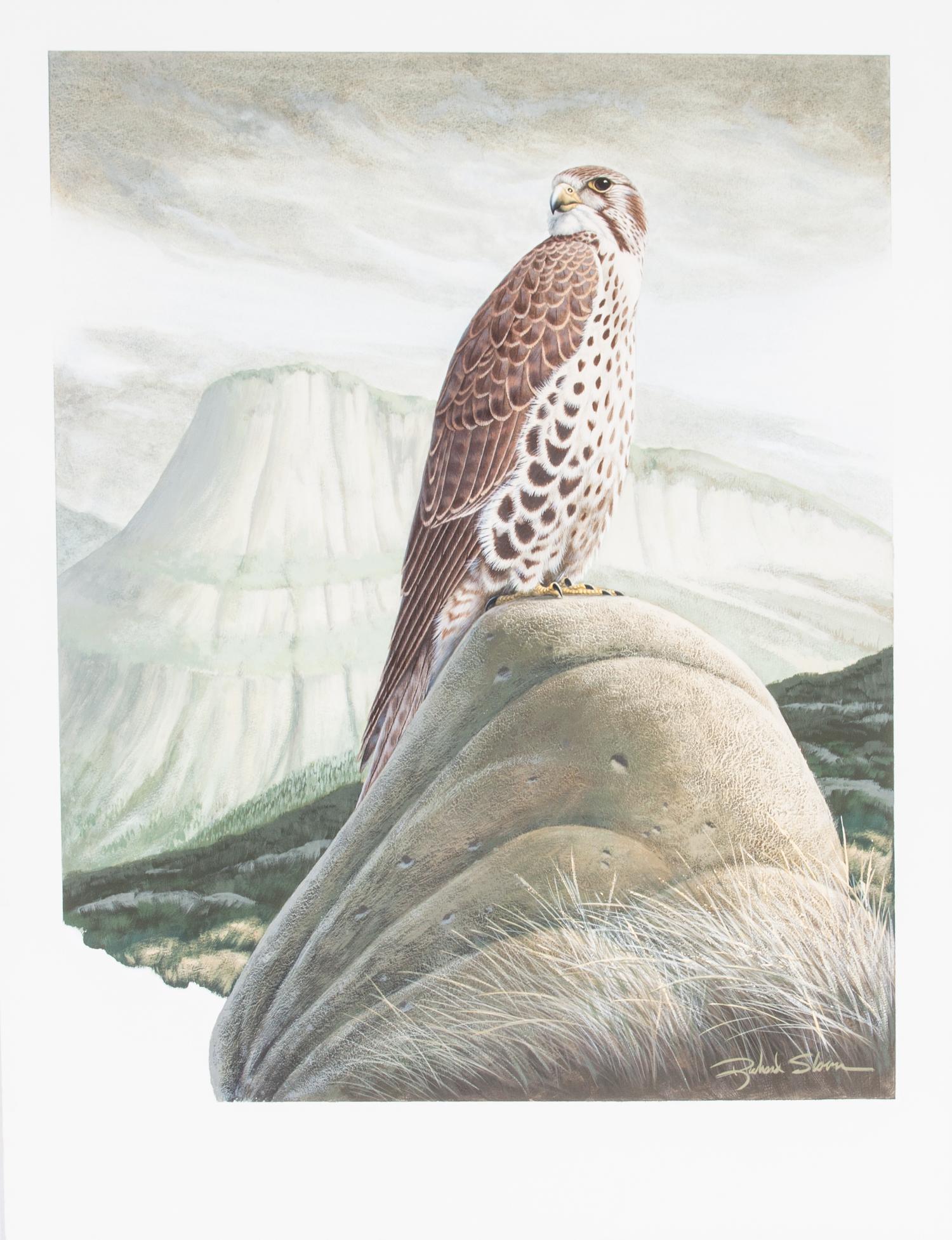 Richard Sloan, (American, 1935-2007), Hawk on a Rock