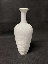A Chinese amphora-shaped "Dragon" vase 龙纹双耳瓶 Kangxi mark, but later ??? ????