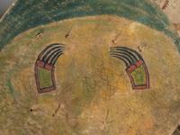 Southern Plains Shield and Cover