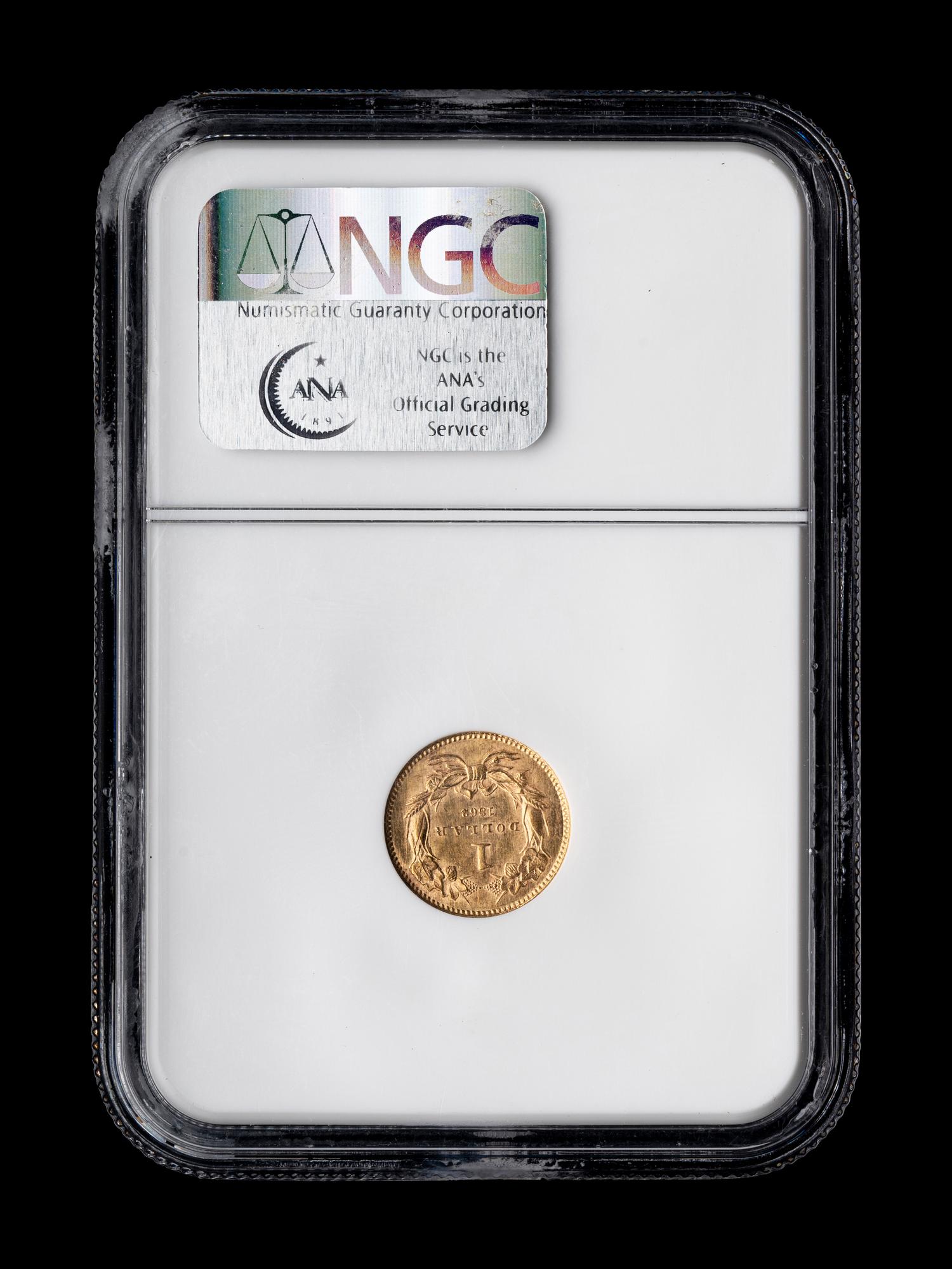 An 1862 Indian Princess $1 Gold Coin (NGC MS62)