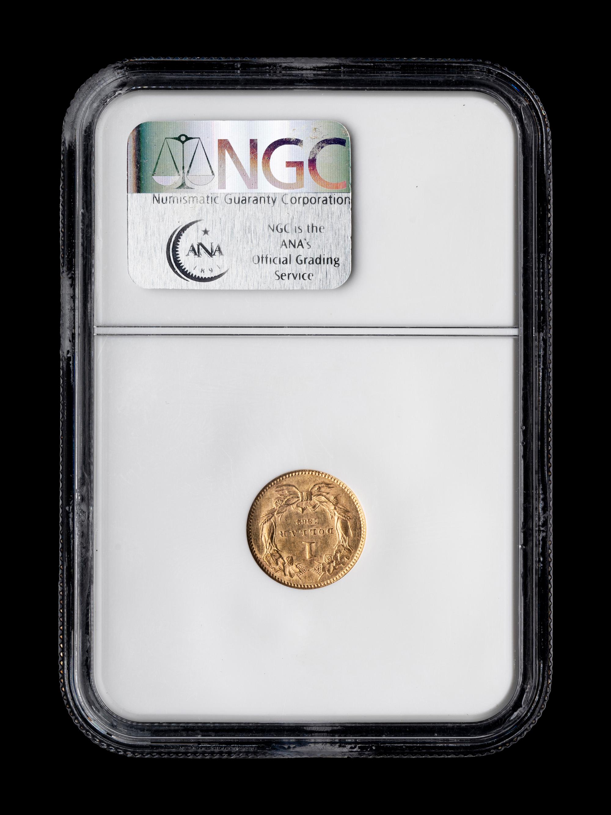 An 1862 Indian Princess $1 Gold Coin (NGC MS62)