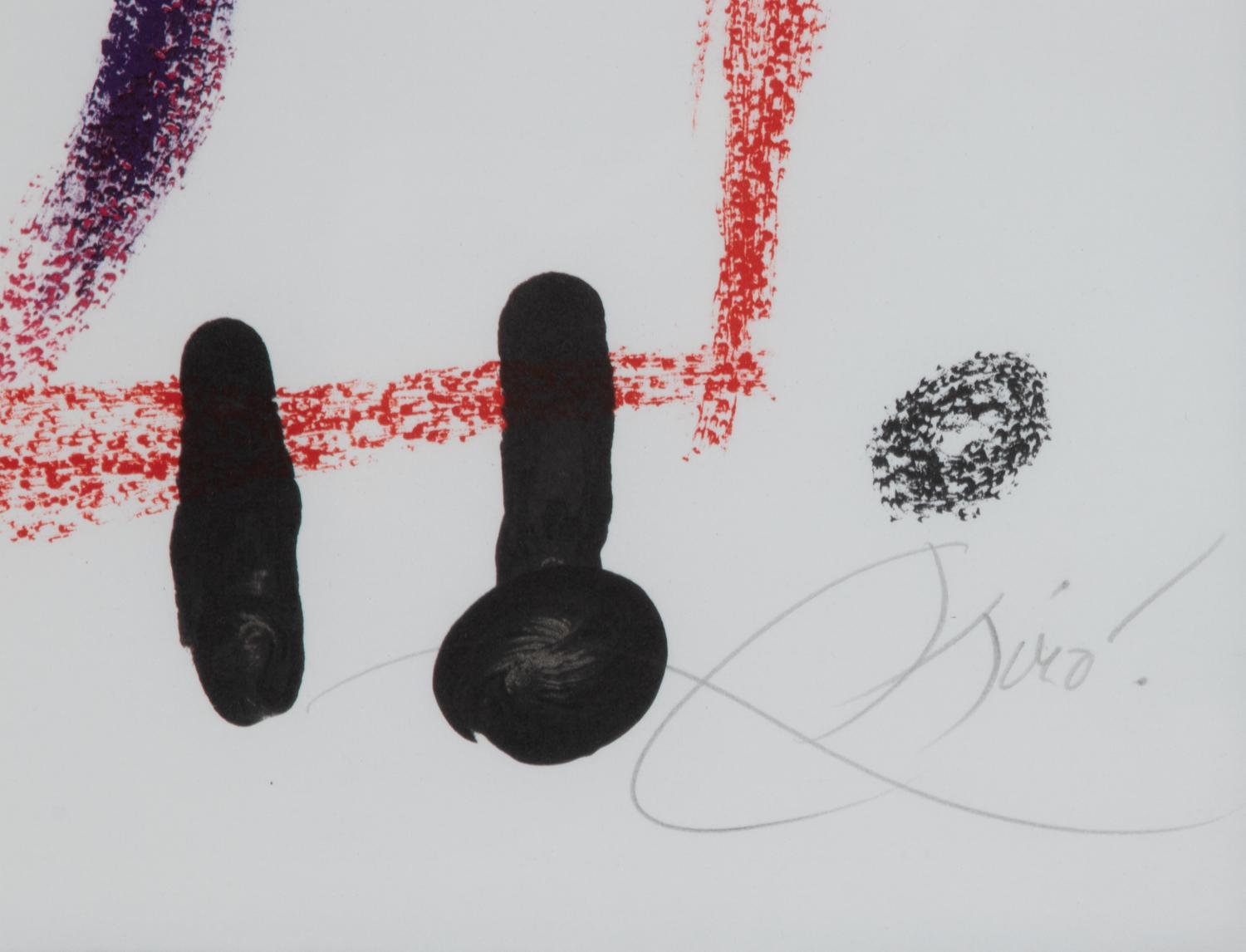 Plate 9 (from Maravillas con variaciones acrósticas en el jardin de Miro )