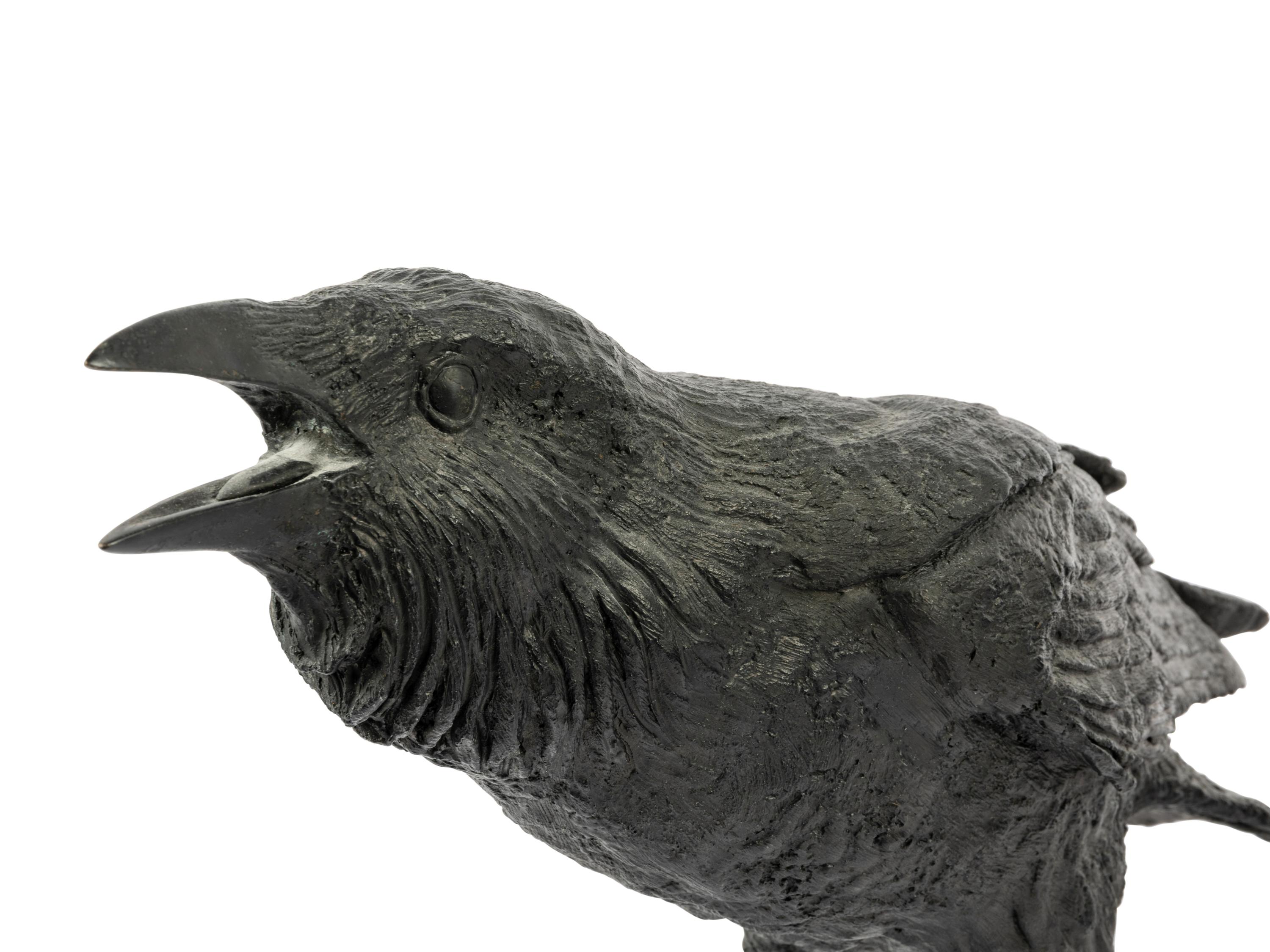 Two Works: Raven VI B , edition 48/50, and Raven XI B , edition 31/50