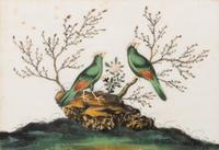 A Set of Twelve Chinese Export Watercolor and Pith Paintings