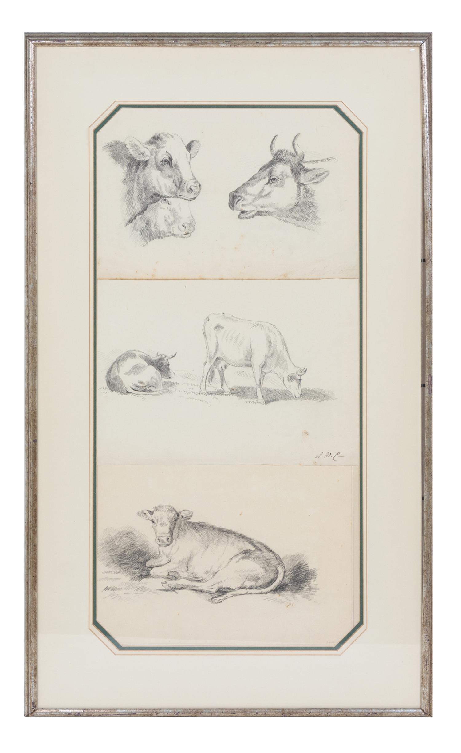12 drawings, ,