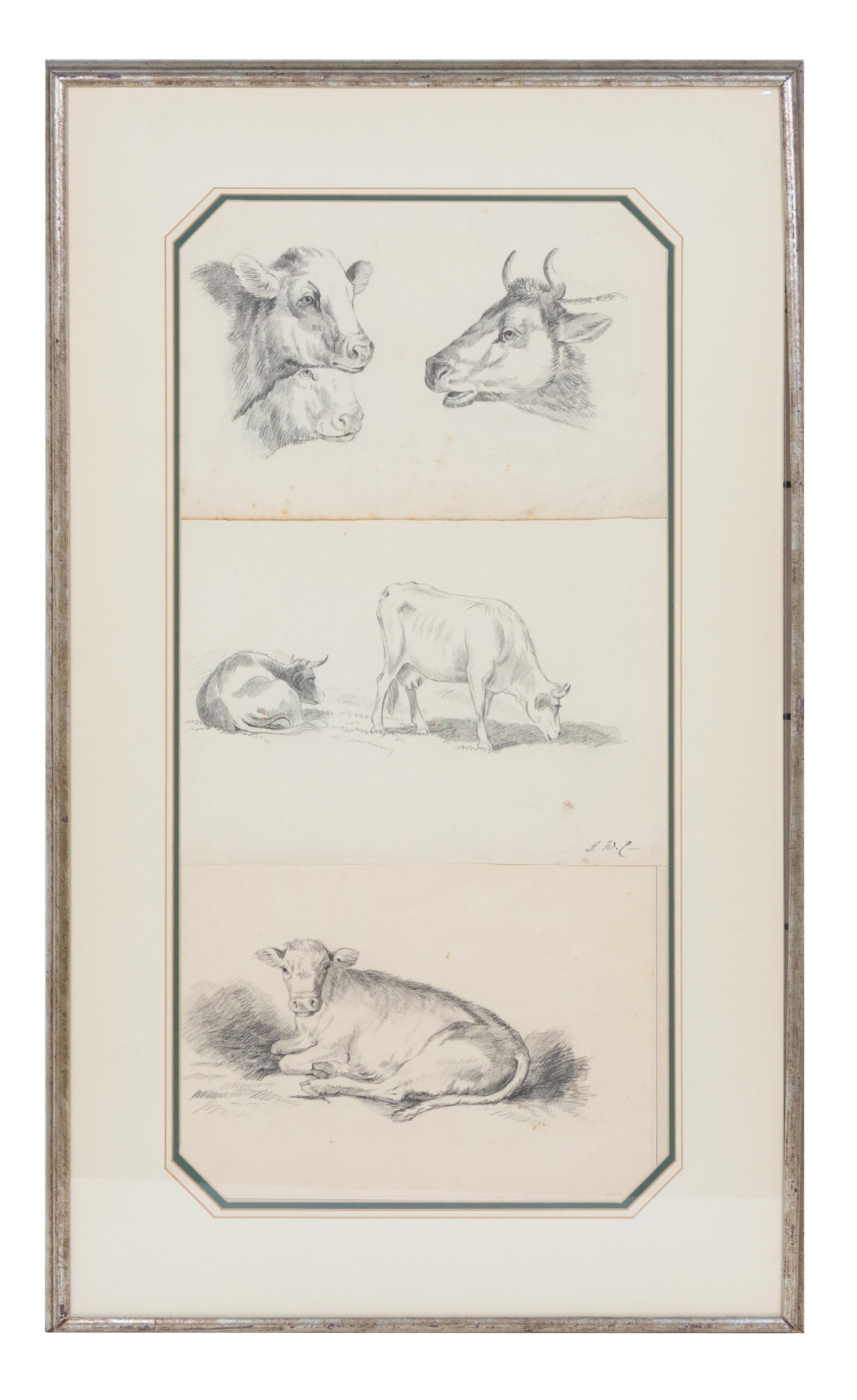 12 drawings, ,