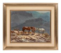 Mountain Ponies