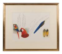 Scarlet Macaw, Cuban Macaw & Feathers of Scarlet Macaw
