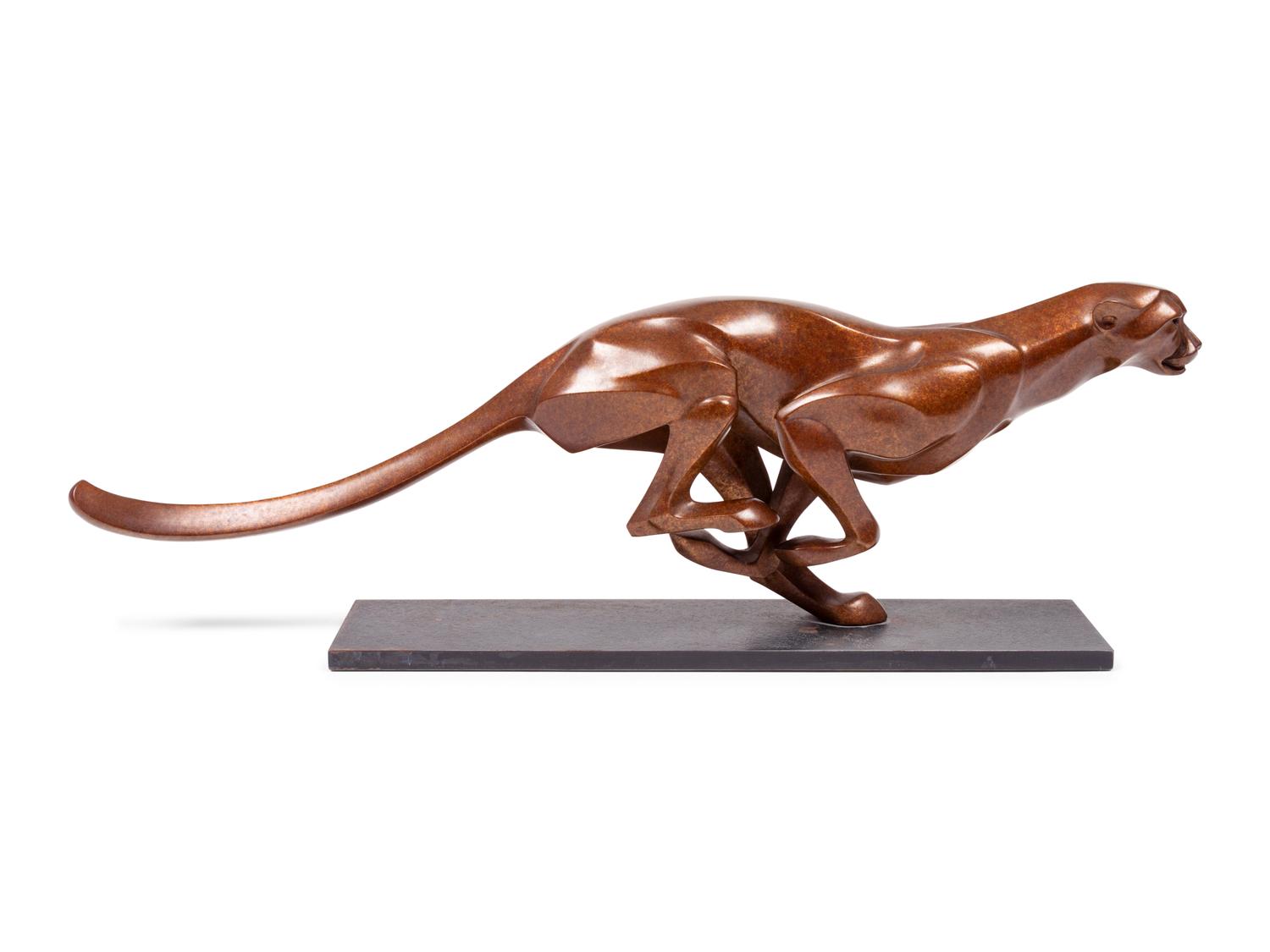 Cheetah , edition 40/100