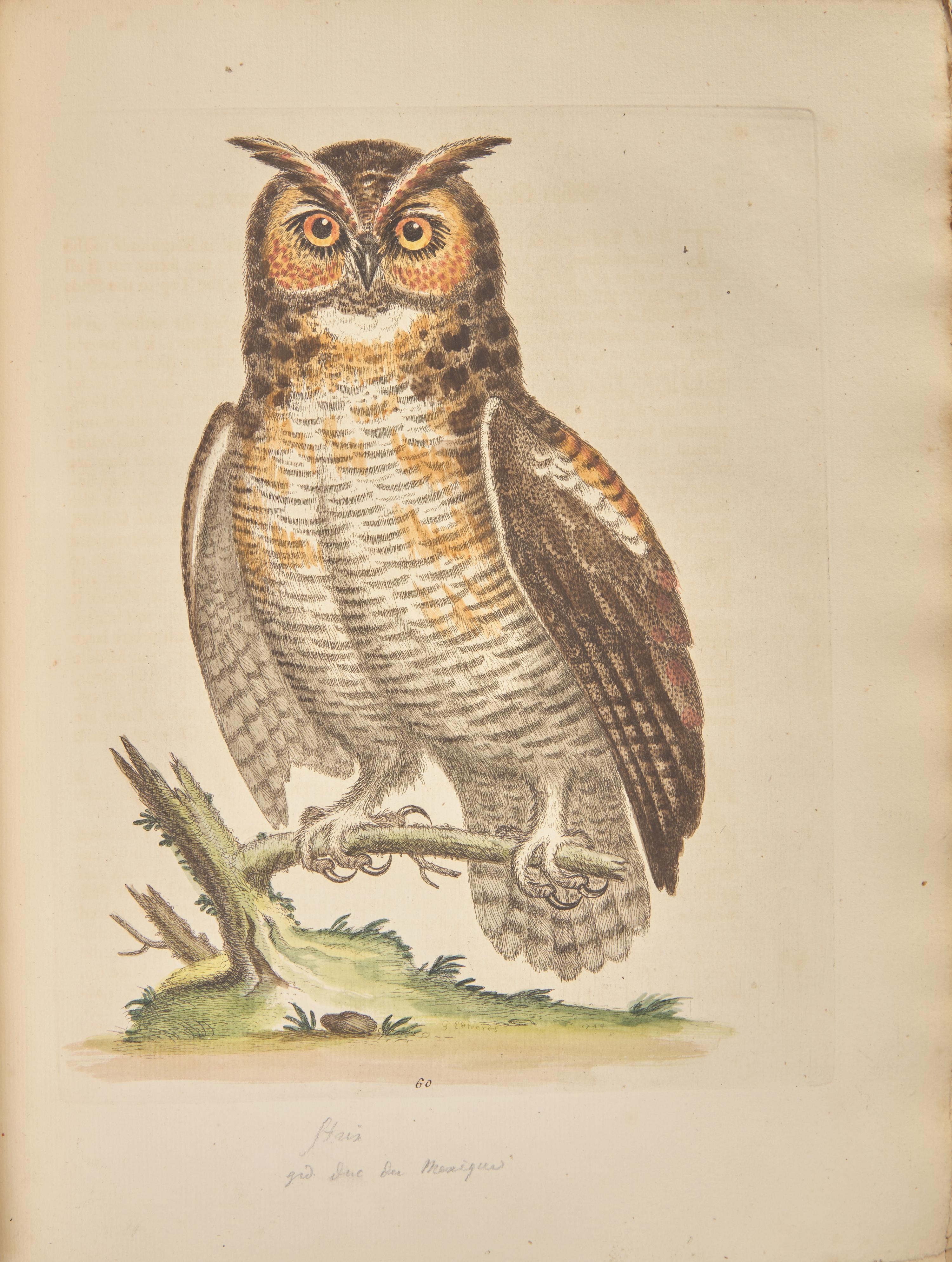[Natural History] [Cuvier, Georges] Edwards, George. A Natural History of Uncommon Birds, and of Some other Rare and Undescribed Animals…