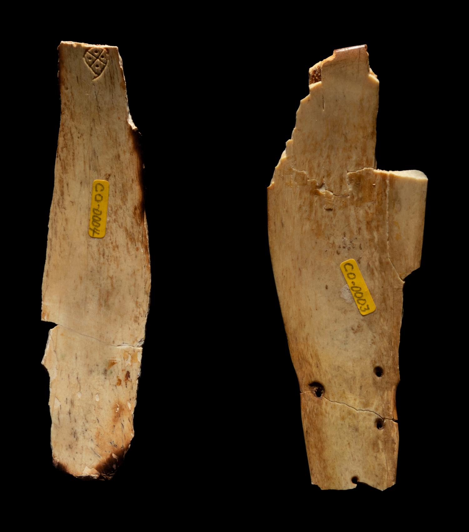 Four Oracle Bones