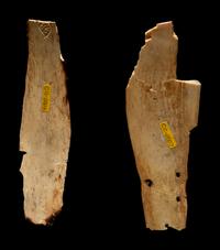Four Oracle Bones