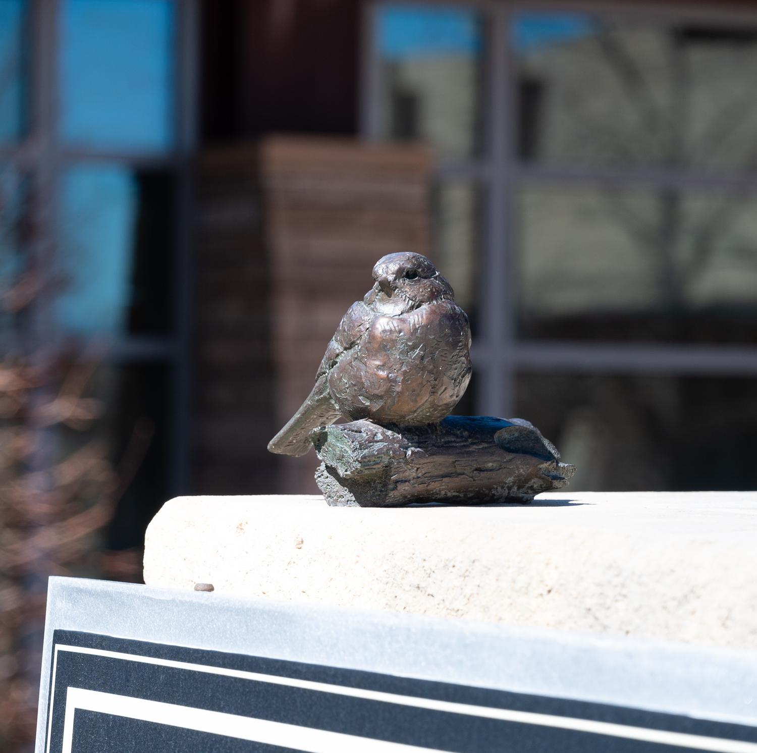 Mountain Chickadee , edition 4/25