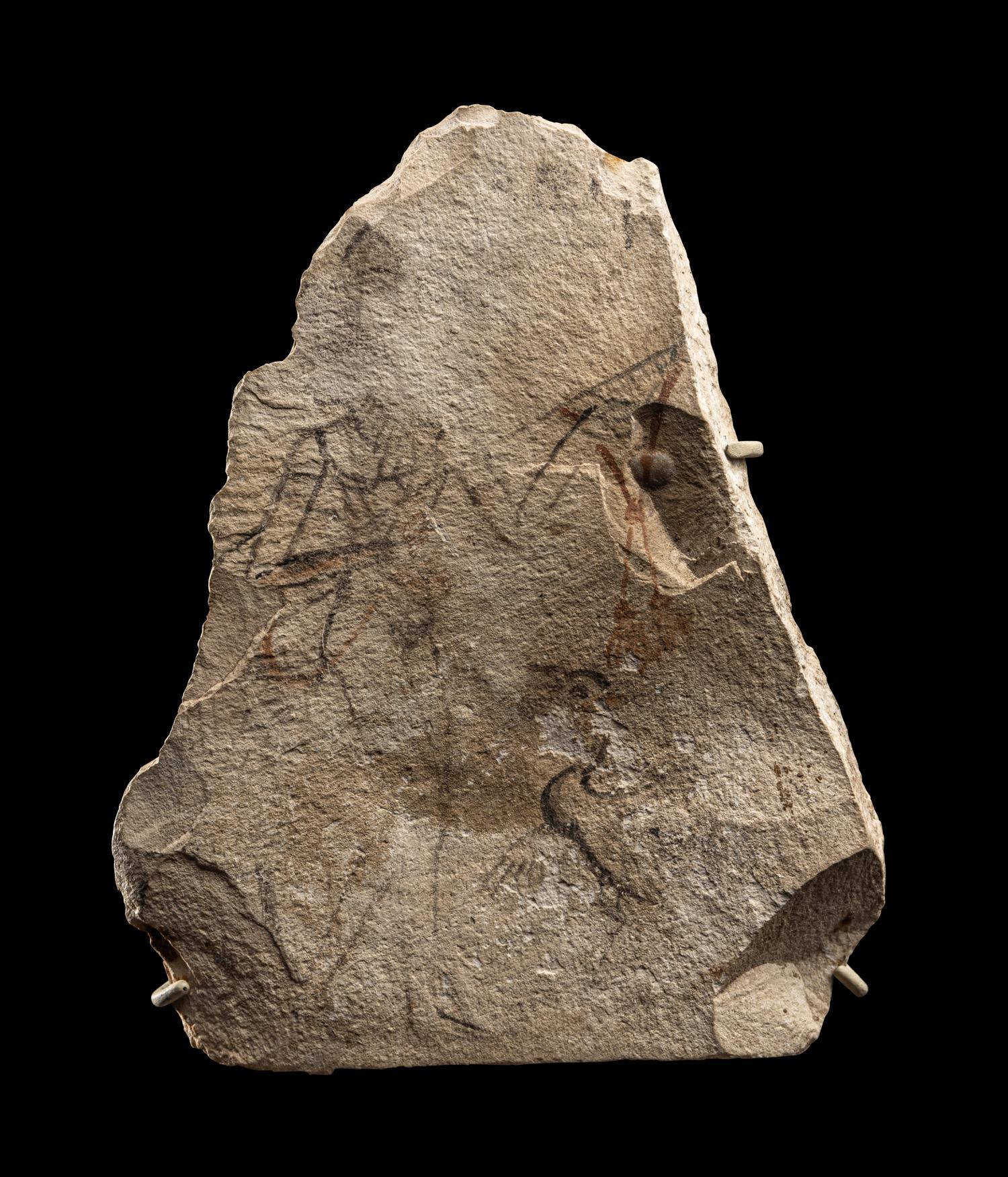 An Egyptian Limestone Ostracon with a Female Musician and Singing Goose