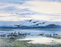 Peter Markham Scott, (British, 1909-1989), Honkers Flighting Down River at Dusk, 1978