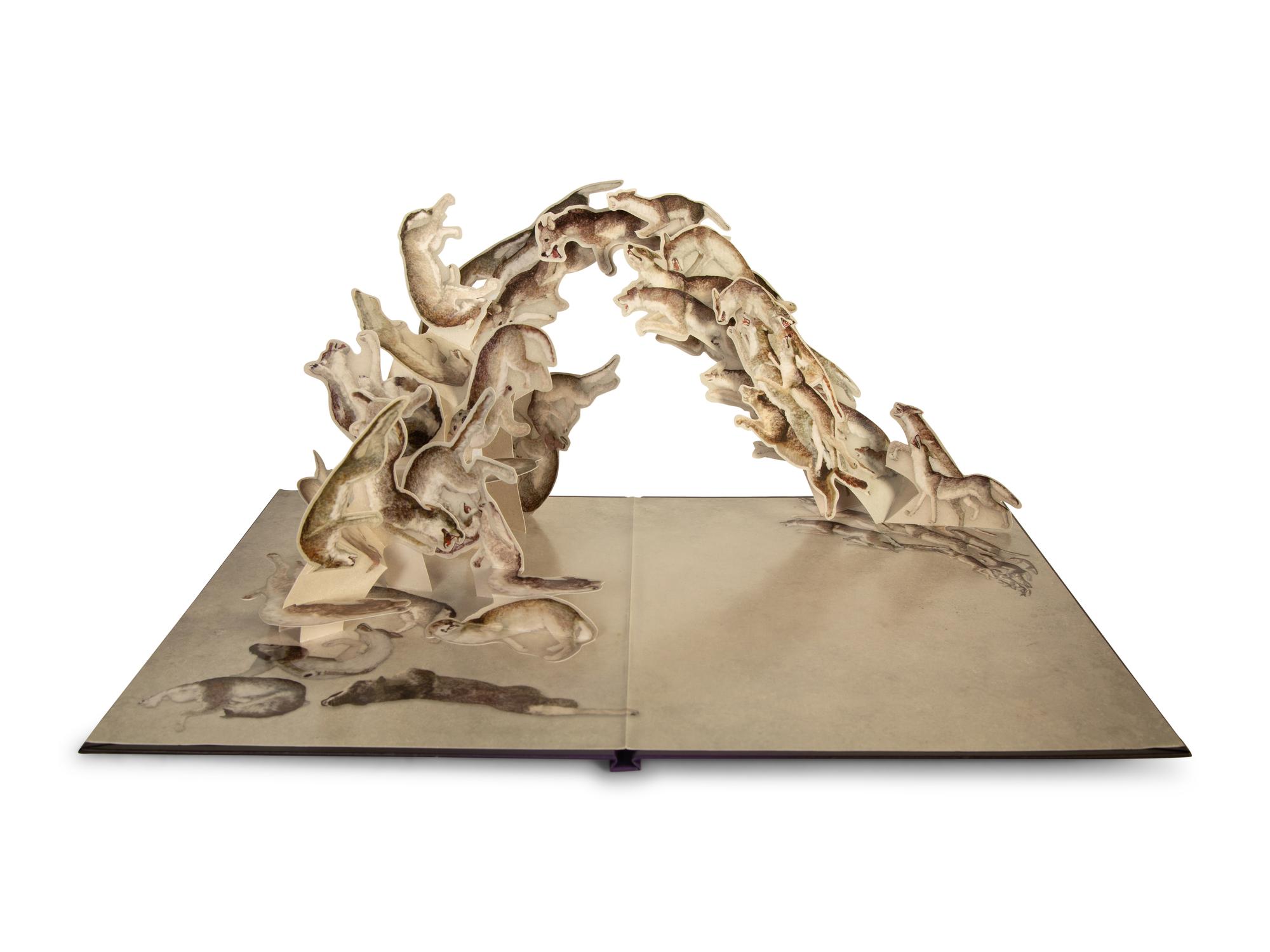 Vissionaire 55, Surprise, Twelve Hardcover Pop-up Books, by Krug — 21st CENTURY