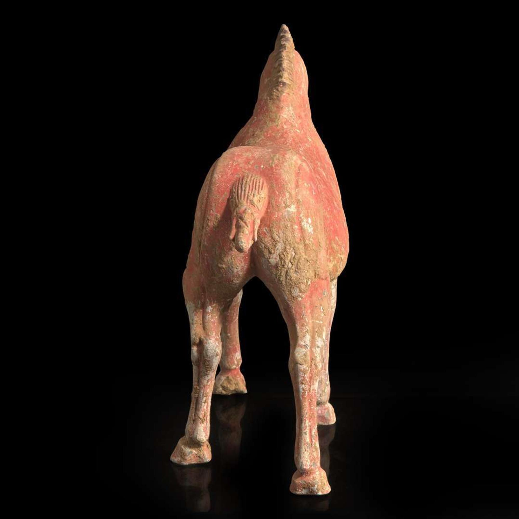 A Chinese red-painted grey pottery figure of a horse with lowered head 红色彩绘陶马 Possibly Tang dynasty ????