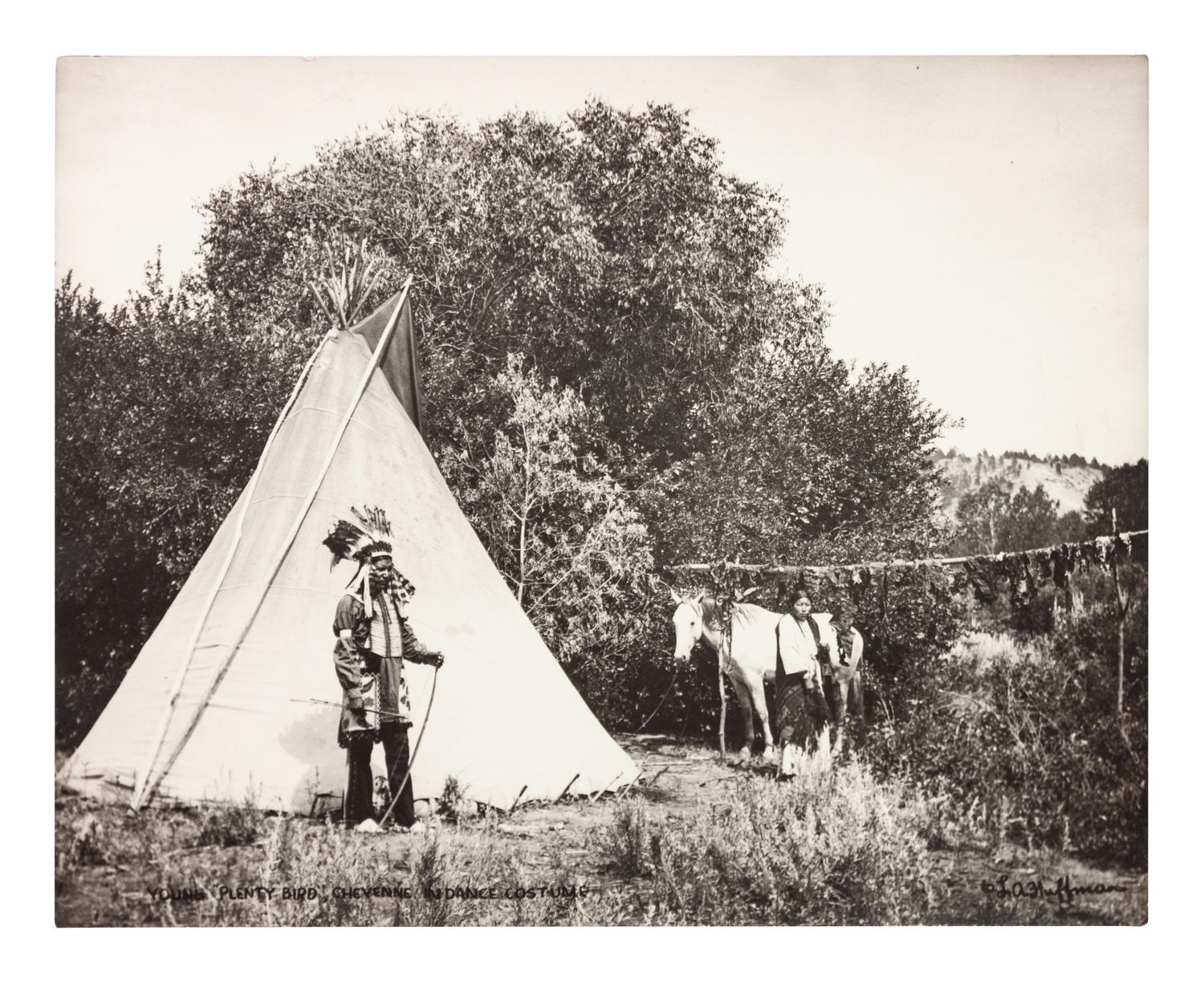Young "Plenty Bird" Cheyenne In Dance Costume