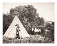 Young "Plenty Bird" Cheyenne In Dance Costume