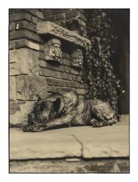 Margaret Bourke-White (1904-1971) Sleeping Dog, Italy, c. 1930