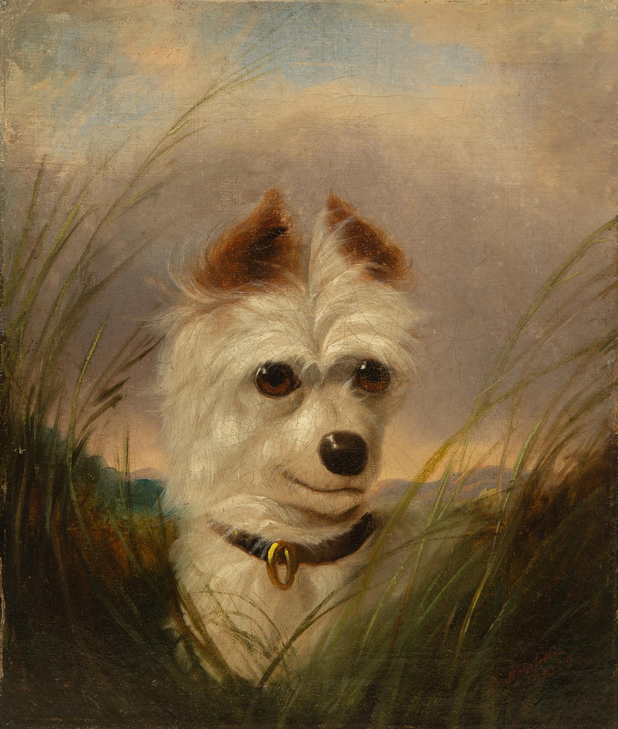 Terrier